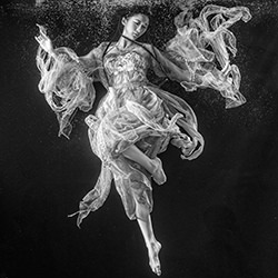 Silk Dances Beneath the Surface-Kenneth Luk-gold-black_and_white-18445