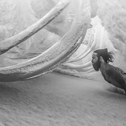 Wave Ribs-Donald Hurzeler-finalist-black_and_white-18370