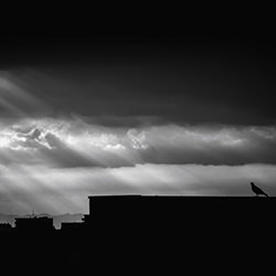 Whispers of the sky-Michiro Konishi-bronze-black_and_white-18333