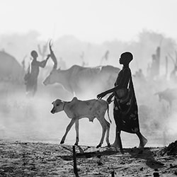 The silhouettes of Mundari-Svetlin Yosifov-bronze-black_and_white-18196