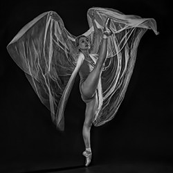 Butterfly flight-Yuliia Nemchenko-bronze-black_and_white-18267