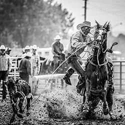 Crow Fair Rodeo-Guido Frazzini-silver-black_and_white-18514