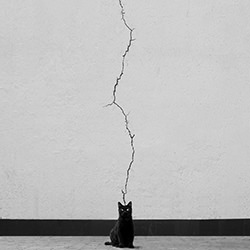Cat look-Ali Zolghadri-silver-black_and_white-18476