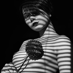 Shadows Of Monochrome-Tomoki Ishikawa-bronze-black_and_white-18312