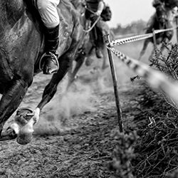 Gallop-Adolfo Enriquez-bronze-black_and_white-18184