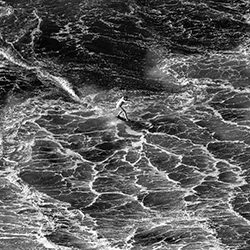 Full speed-Adolfo Enriquez-gold-black_and_white-18443