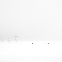 ski touring-Adolfo Enriquez-silver-black_and_white-18466