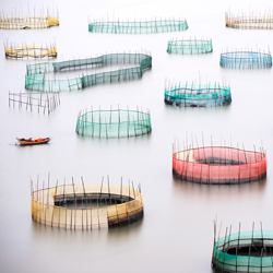 fishing nets-Brigitte Bourger-silver-fine_art-3020