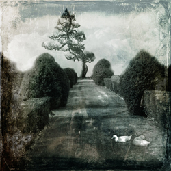 The Garden of Eden-Catia Mencacci-finalist-fine_art-2976