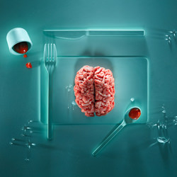 Cerebro rojo-Cosimo Barletta-bronce-fine_art-4048