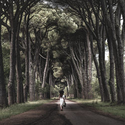 In the wood-Massimo Barbagli-finalist-fine_art-4228