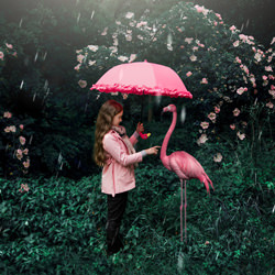 My Flamingo-Nataliya Lanova-finalist-fine_art-4242