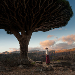 Socotra: the blessed island-Guillaume Petermann-silver-fine_art-4266