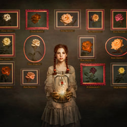 Be the Rose-Erika Talshir-bronze-fine_art-6665