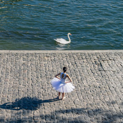 The swan and the ballerina-Antoine Buttafoghi-bronze-fine_art-6699