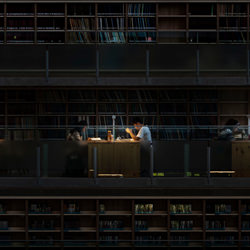 Library-Ales Tvrdy-finalist-fine_art-6726