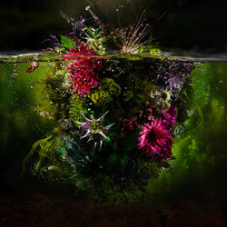 Flower Mountain-Marc Wuchner-finalist-fine_art-9548