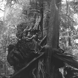 Kalaloch-Jason And Amanda Ray-bronze-fine_art-9522