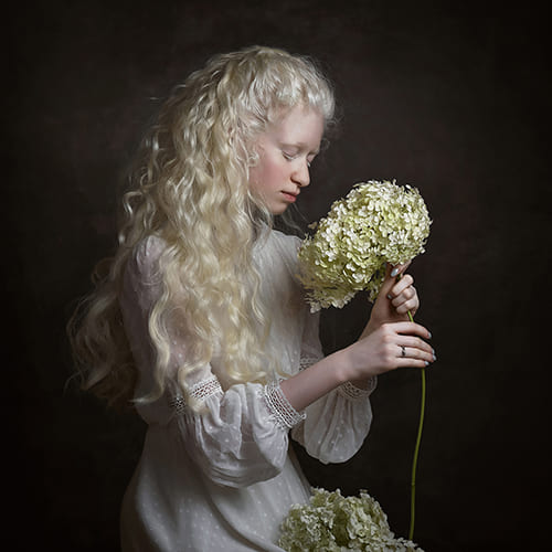 Hydrangea-Victoria Kos-finalist-fine_art-12113
