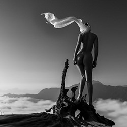 Skywalker-Chim Oanh-silver-fine_art-16228