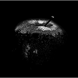apple-Henk Langerak-finalist-fine_art-18608