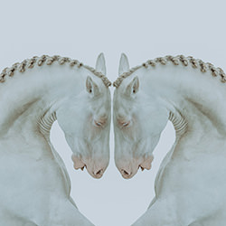 Inner struggle-Helga Madajova-gold-fine_art-18619