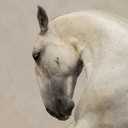 Episoda-Helga Madajova-bronze-fine_art-18548