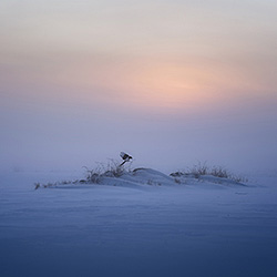 In blue-Kent Olsson-finalist-landscape-447