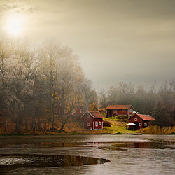 Autumn sheds-Kent Olsson-finalist-landscape-448