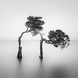 Courteous-Hengki Koentjoro-silver-landscape-572