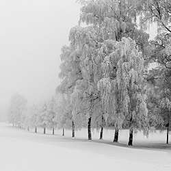 Lost Winter-Philipp Klemm-finalist-landscape-465