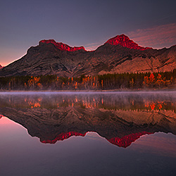 Natures lipstick-Ajay Thomas-finalist-landscape-481