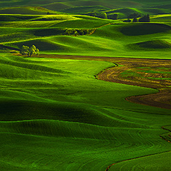 Grass wave-Ajay Thomas-finalist-landscape-484