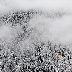 Sudden winter-Aleksandras Guzauskas-finalist-landscape-493