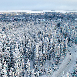 Winter Drive-Teemu Kalliolahti-finalist-landscape-503