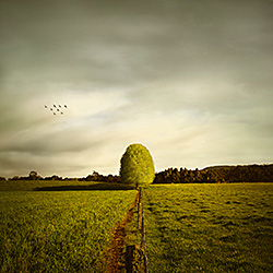 Peace and Calm-Ricardo Da Cunha-finalist-landscape-510