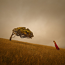 Nature and Human Sorrow-Ricardo Da Cunha-bronze-landscape-397