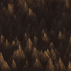 Arrowtown Light-Ricardo Da Cunha-finalist-landscape-513