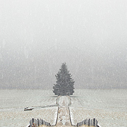 Castle Hill Snow Dump-Ricardo Da Cunha-finalist-landscape-514