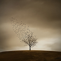 Leaving the Refuge-Ricardo Da Cunha-gold-landscape-569