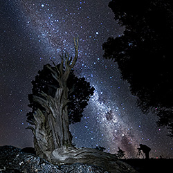 The watcher-Ezequiel Laprida-finalist-landscape-521