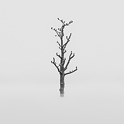 Alone-Petr Perepechenko-bronze-landscape-409
