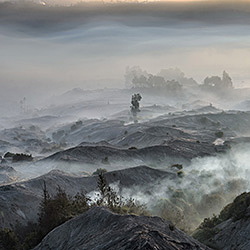 Mystery Land-Marcellian Tan-finalist-landscape-539