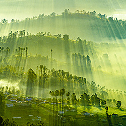 Misty Mornings-Gunjan Sardare-finalist-landscape-538