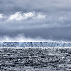 Fortitude-Louisa Paez Michelin-finalist-landscape-556