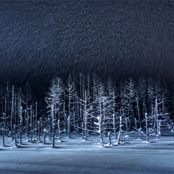 Powdery snow dance-Rucca Ito-bronze-landscape-2166