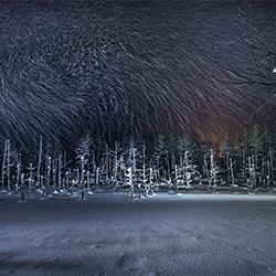Dancing snow-Rucca Ito-bronze-landscape-2168