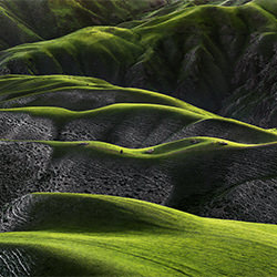 Grassland of human body curves-Thierry Bornier-silver-landscape-2412