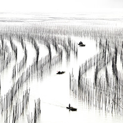 Broidery of bamboos in the sea-Thierry Bornier-silver-landscape-2414