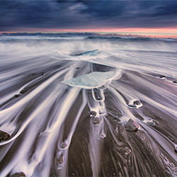 Anastomosis-Trevor Cole-finalist-landscape-2317